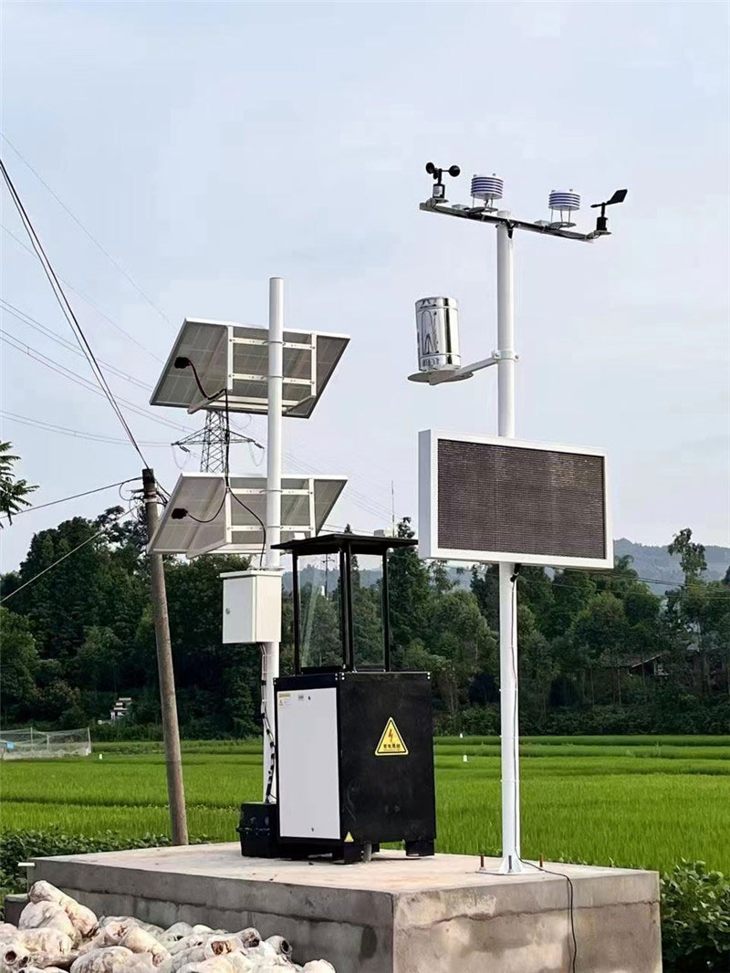 四情-(4).jpg