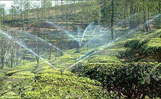 土壤墑情自動監(jiān)測站茶園灌溉中能發(fā)揮什么作用? 土壤墑情自動監(jiān)測站茶園灌溉中能發(fā)揮什么作用?