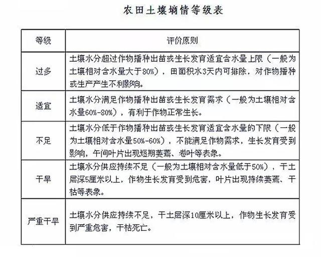 土壤墑情等級表